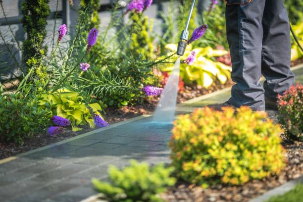 Best Spring Cleaning  in Long Beach, NY